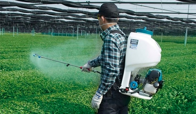 Những nguyên nhân chính gây mất vệ sinh an toàn thực phẩm